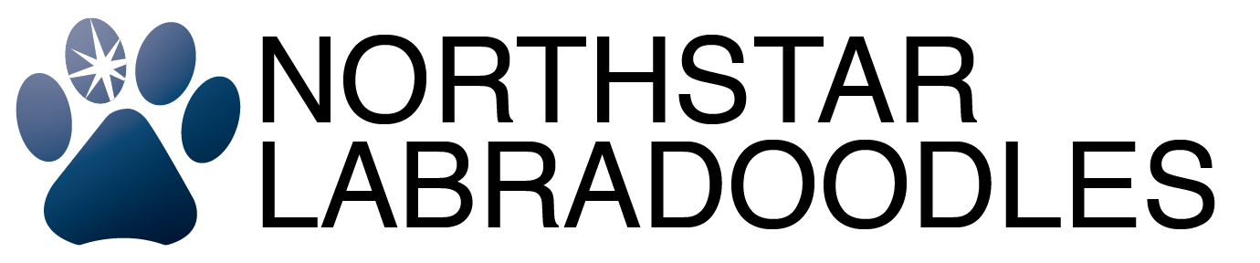 NorthStar Labradoodles